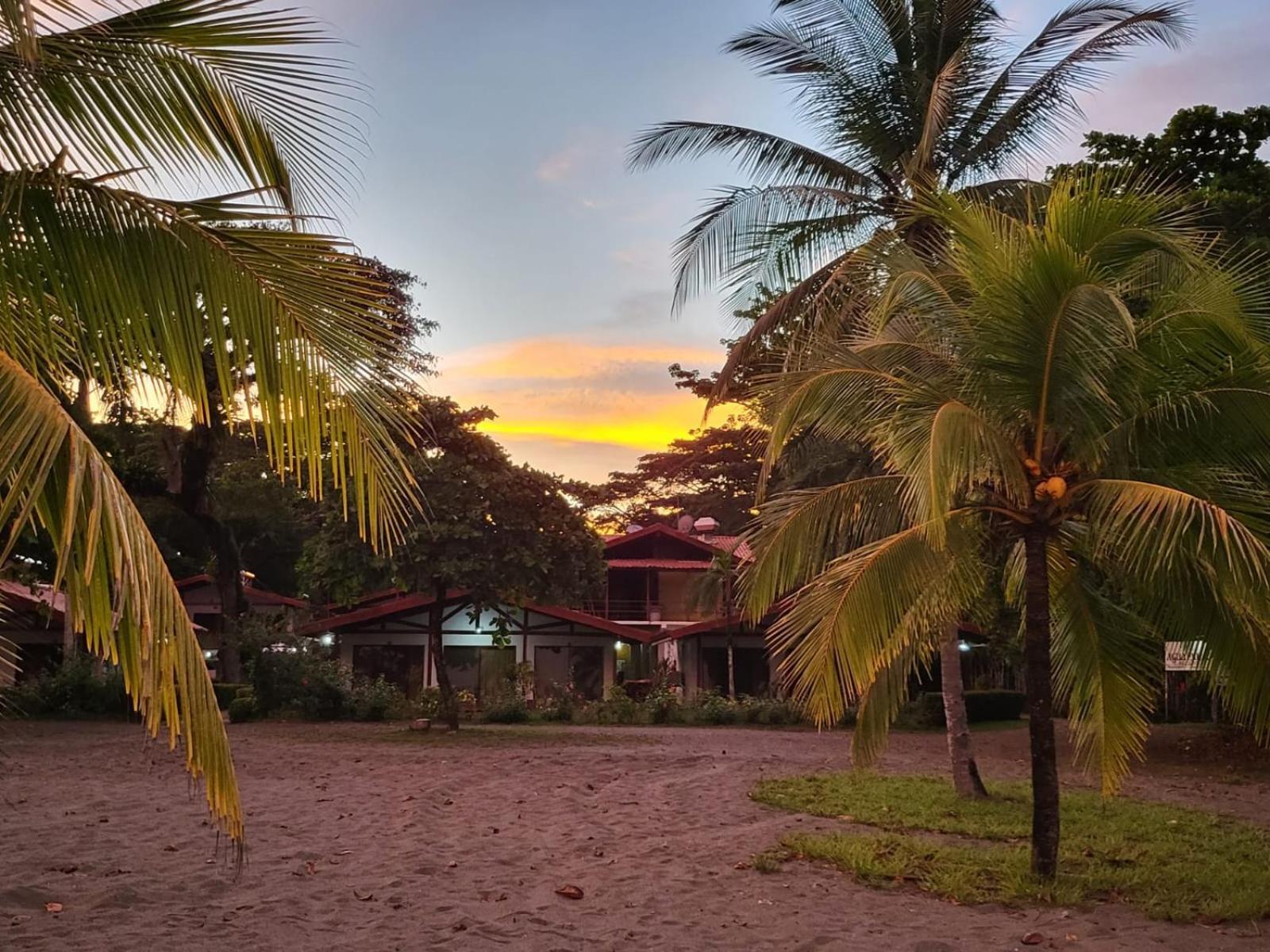阿瓜杜尔塞海滩度假村 Puerto Jiménez 外观 照片