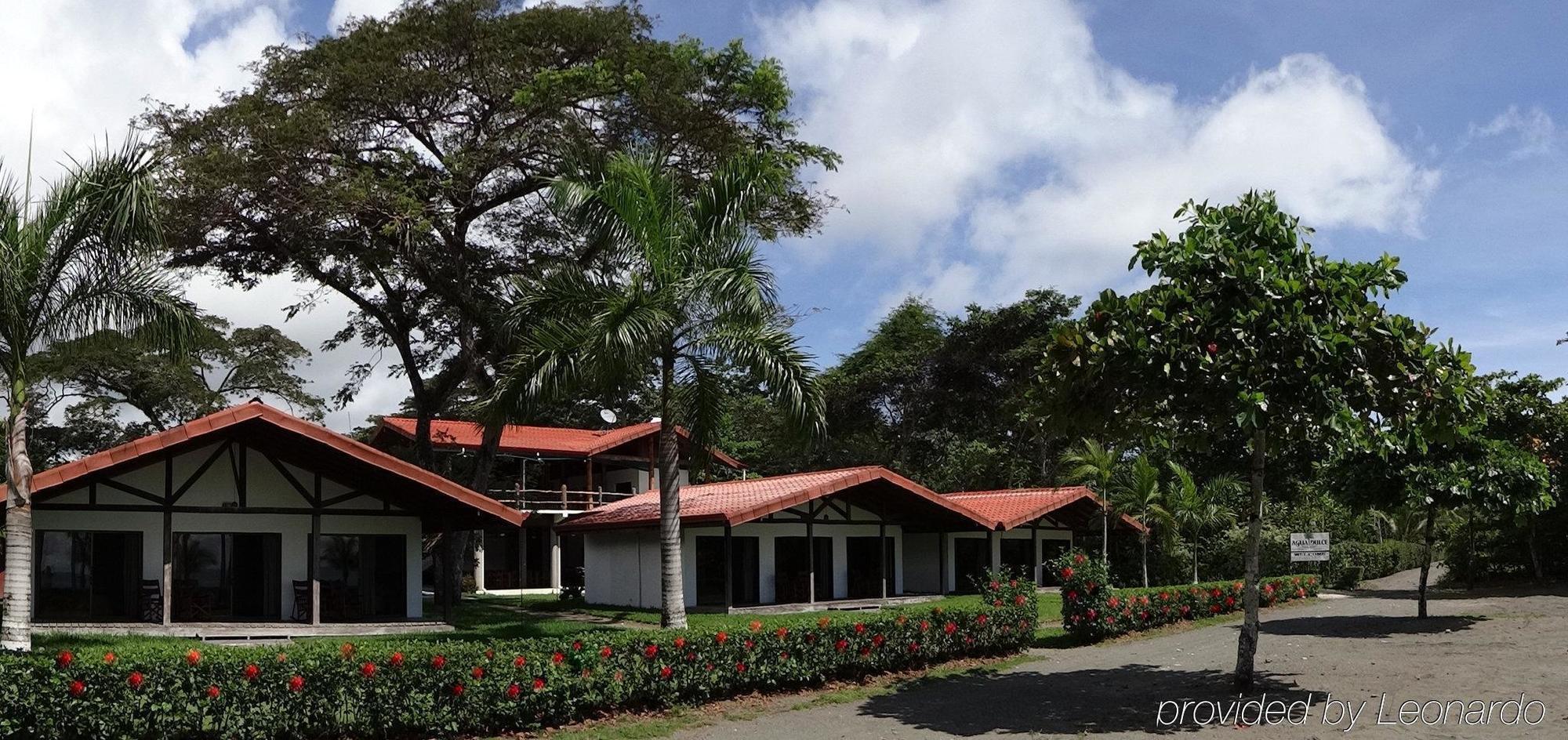 阿瓜杜尔塞海滩度假村 Puerto Jiménez 外观 照片
